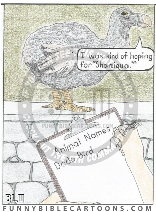 Dodo Bird Cartoon