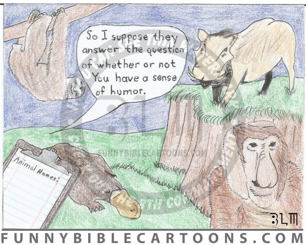 Gods Sense Of Humor Cartoon