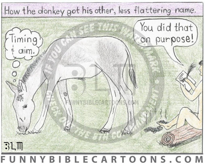 How The Donkey Got His Other Less Flattering Name Cartoon